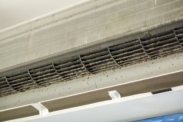 Best Ventilation Cleaning Services  in Mescal, AZ